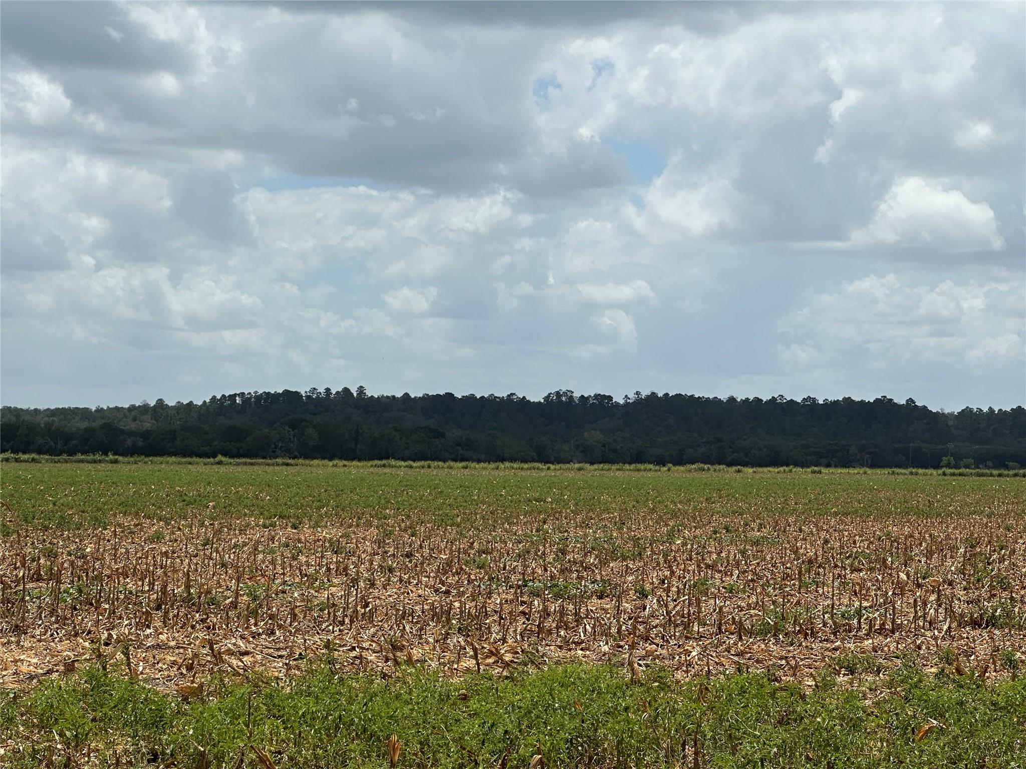 0000 Rabbs Prairie