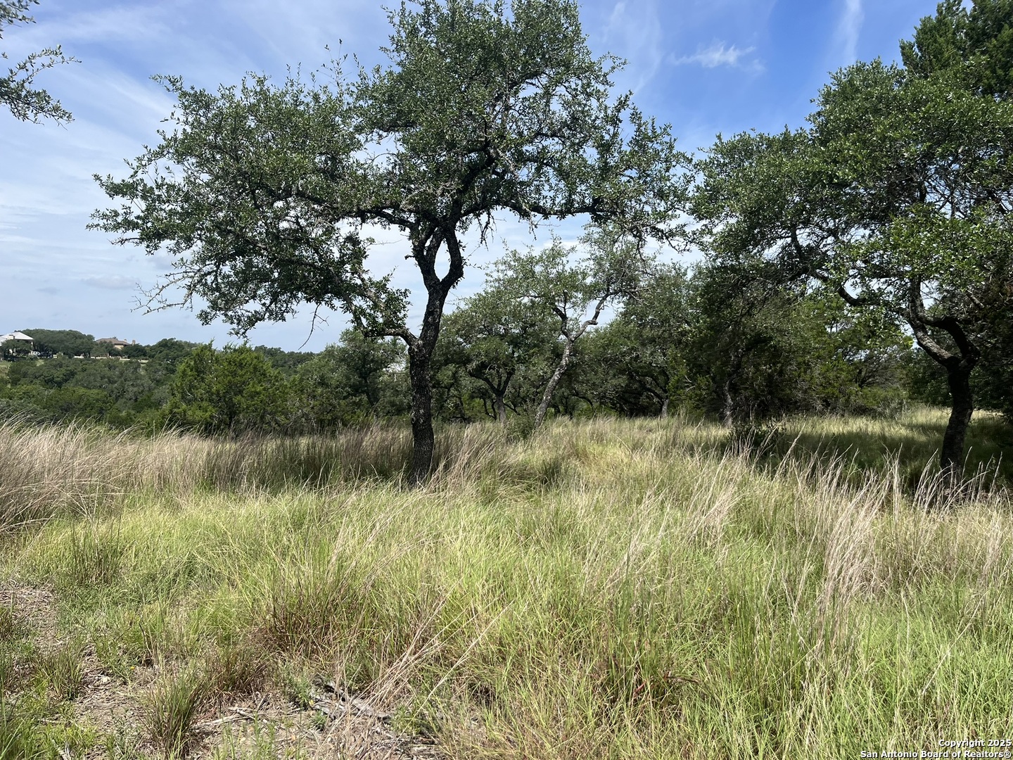 137 HILL MYNA, ,  78070 — photo 1
