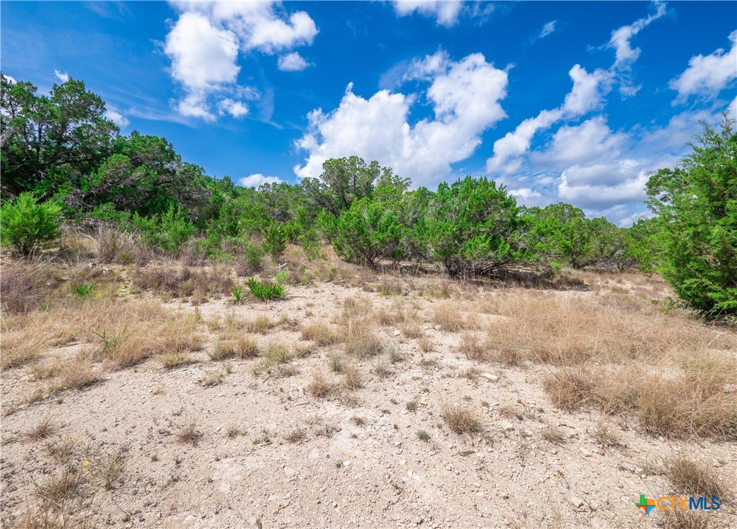 646 Appaloosa, Fischer, TX 78623 — photo 1