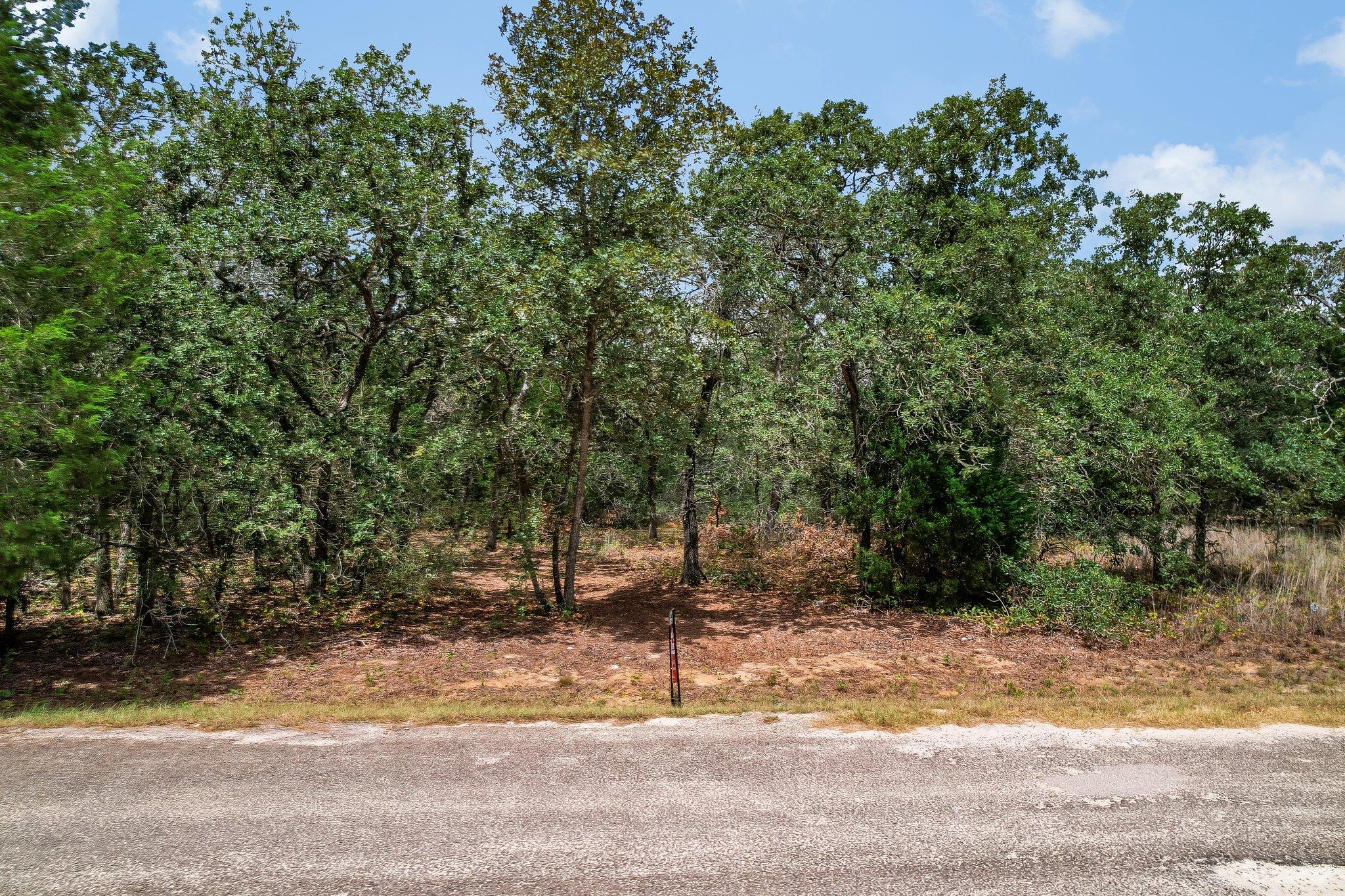 TBD Christensen, Elgin, TX 78621 — photo 1