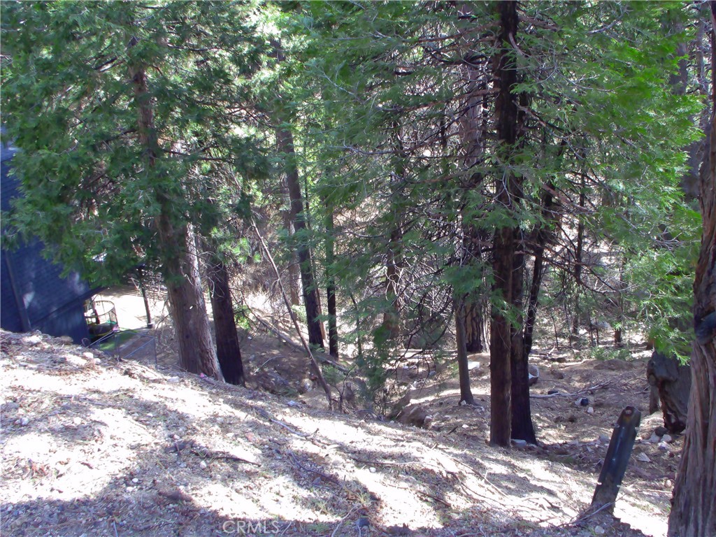 2379 Spring Oak, Running Springs, CA 92382 — photo 1