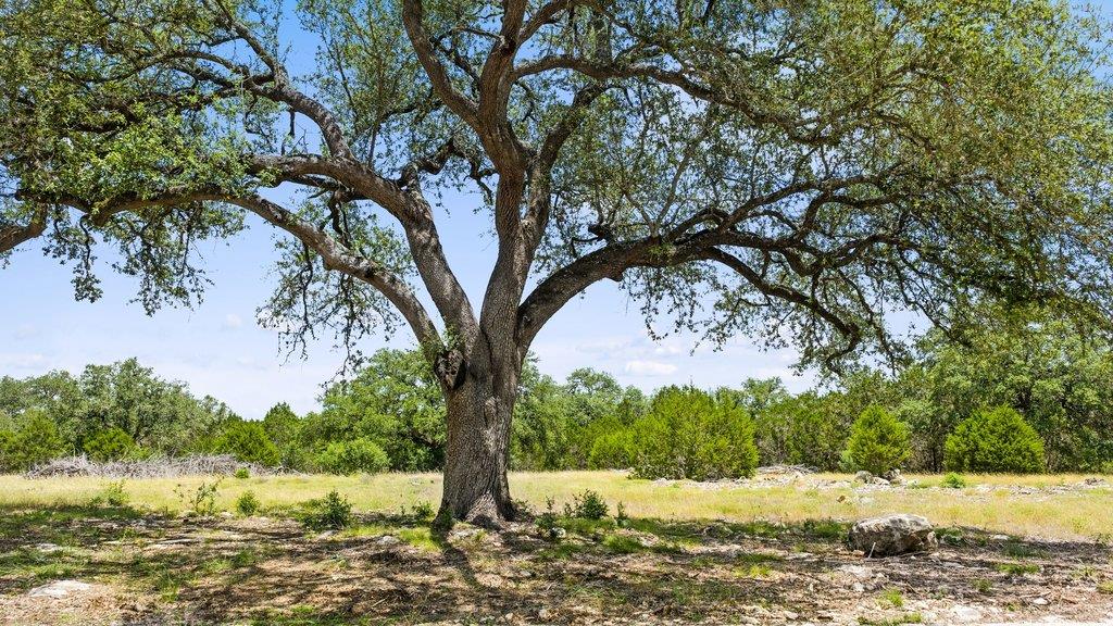 Tract 5 Cypress Cove, Spring Branch, TX 78070 — photo 1