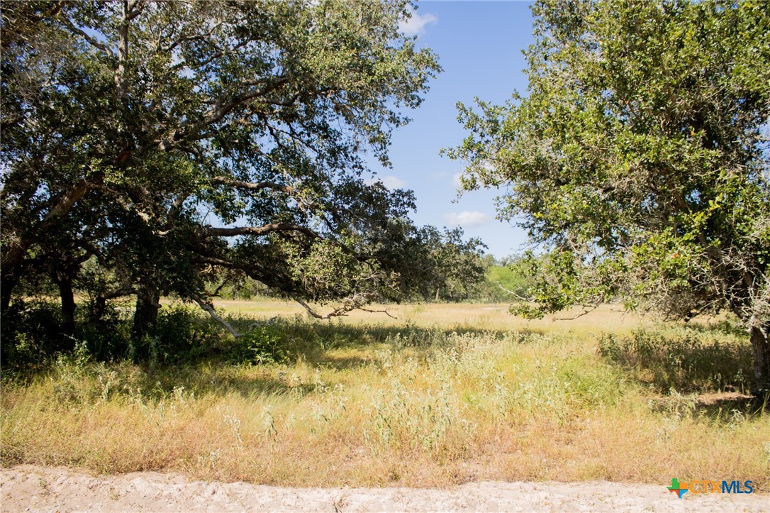 4197 FM 2987, Fannin, TX 77963 — photo 1