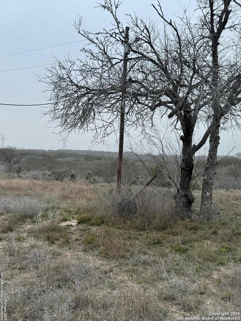 00 COUNTY ROAD 153, , 78119 — photo 1