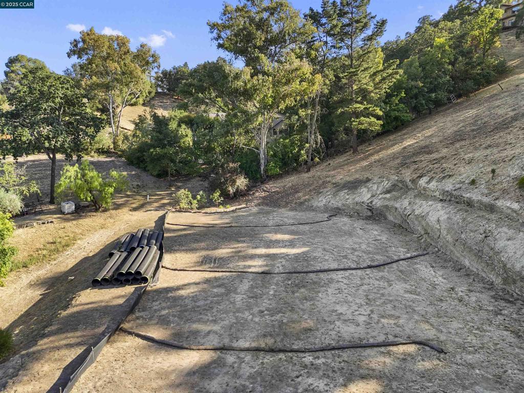221 Dean Rd, Alamo, CA 94507 — photo 1