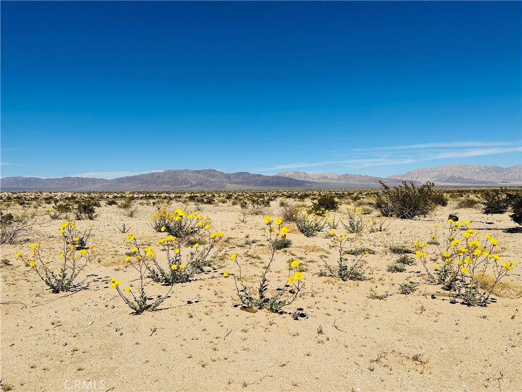 0 Near Shelton Road, 29 Palms, CA 92277 — photo 1