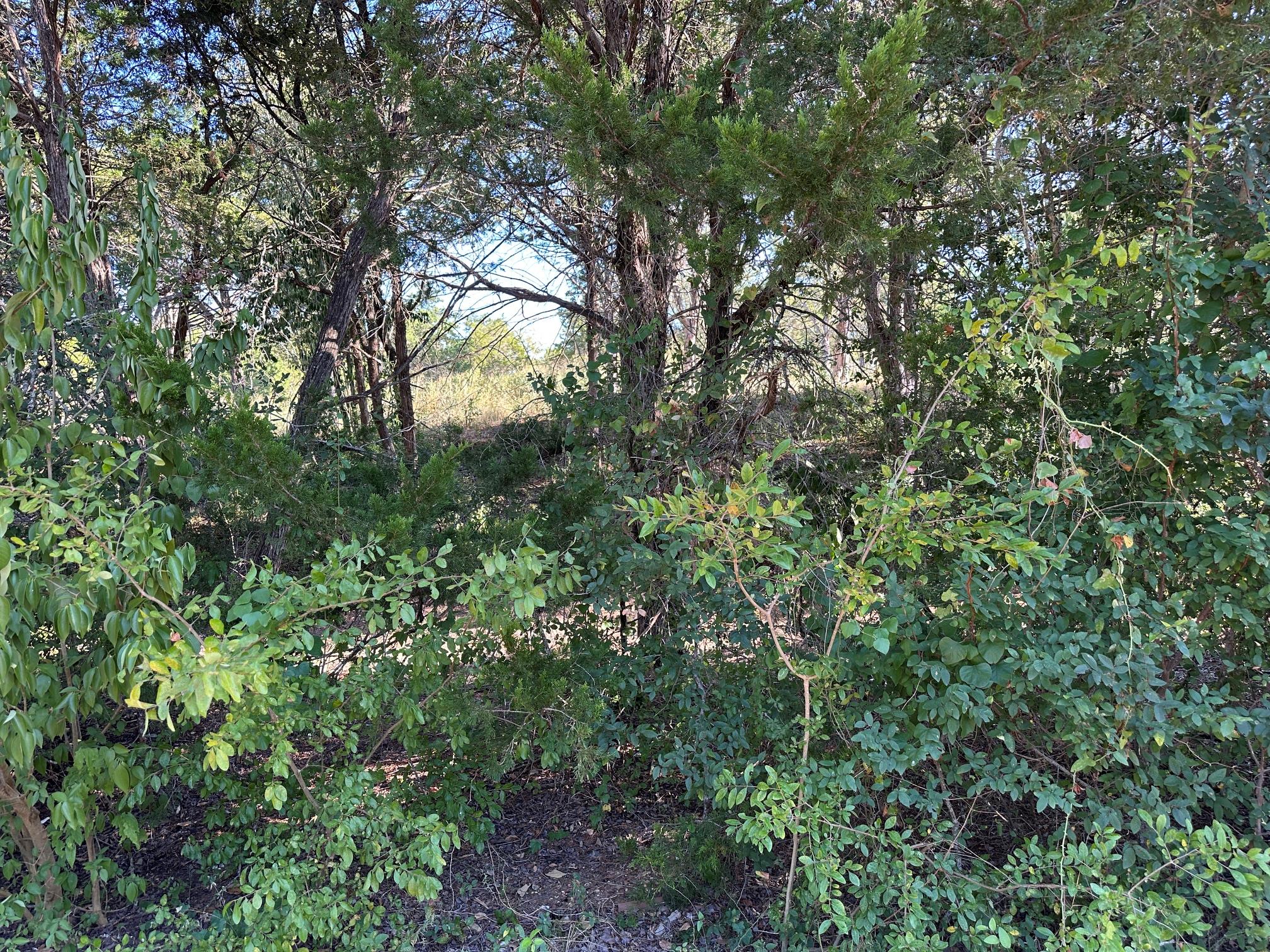 LOT 9 Robin Run, Bastrop, TX 78602 — photo 1