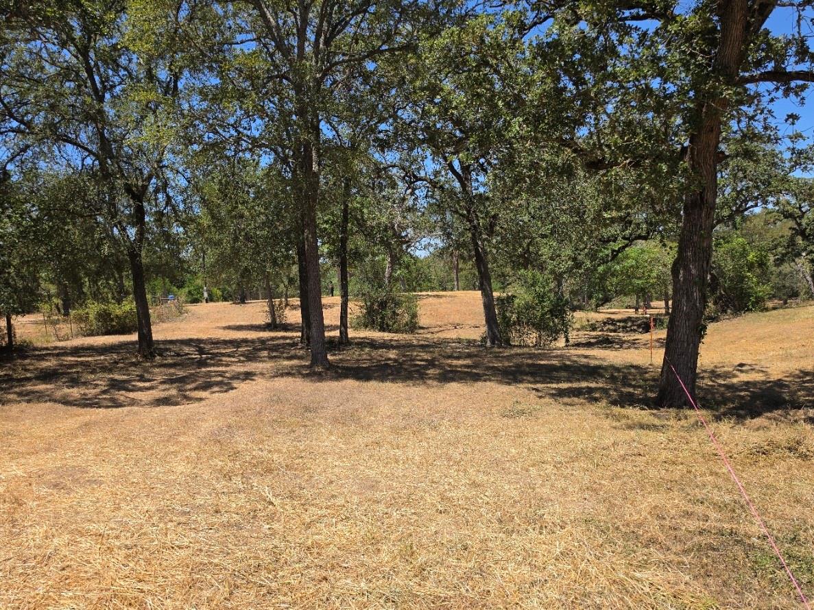 183 Wilbarger Cv, Elgin, TX 78621 — photo 1
