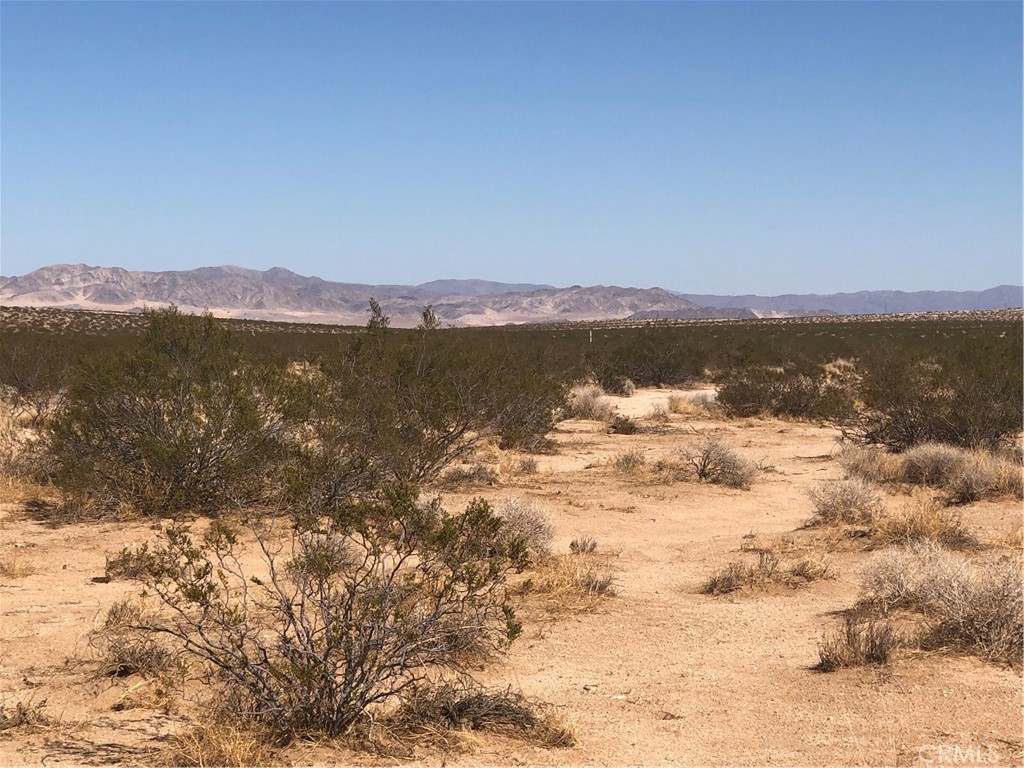 0 Near Daisy Lane, Joshua Tree, CA 92252 — photo 1