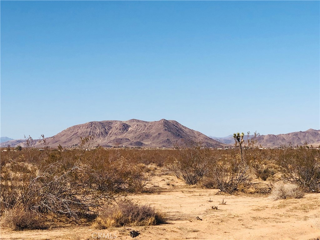 2 Venus Street, Joshua Tree, CA 92252 — photo 1