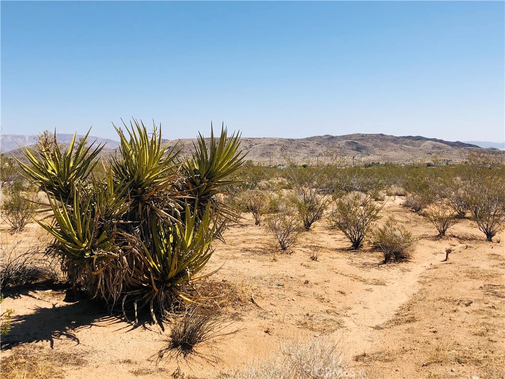 2 Geronimo Trail, Landers, CA 92285 — photo 1