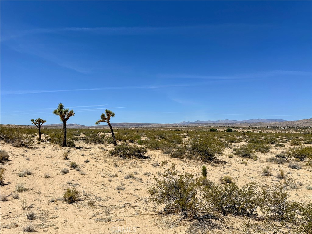 0 Amargo Road, Landers, CA 92285 — photo 1