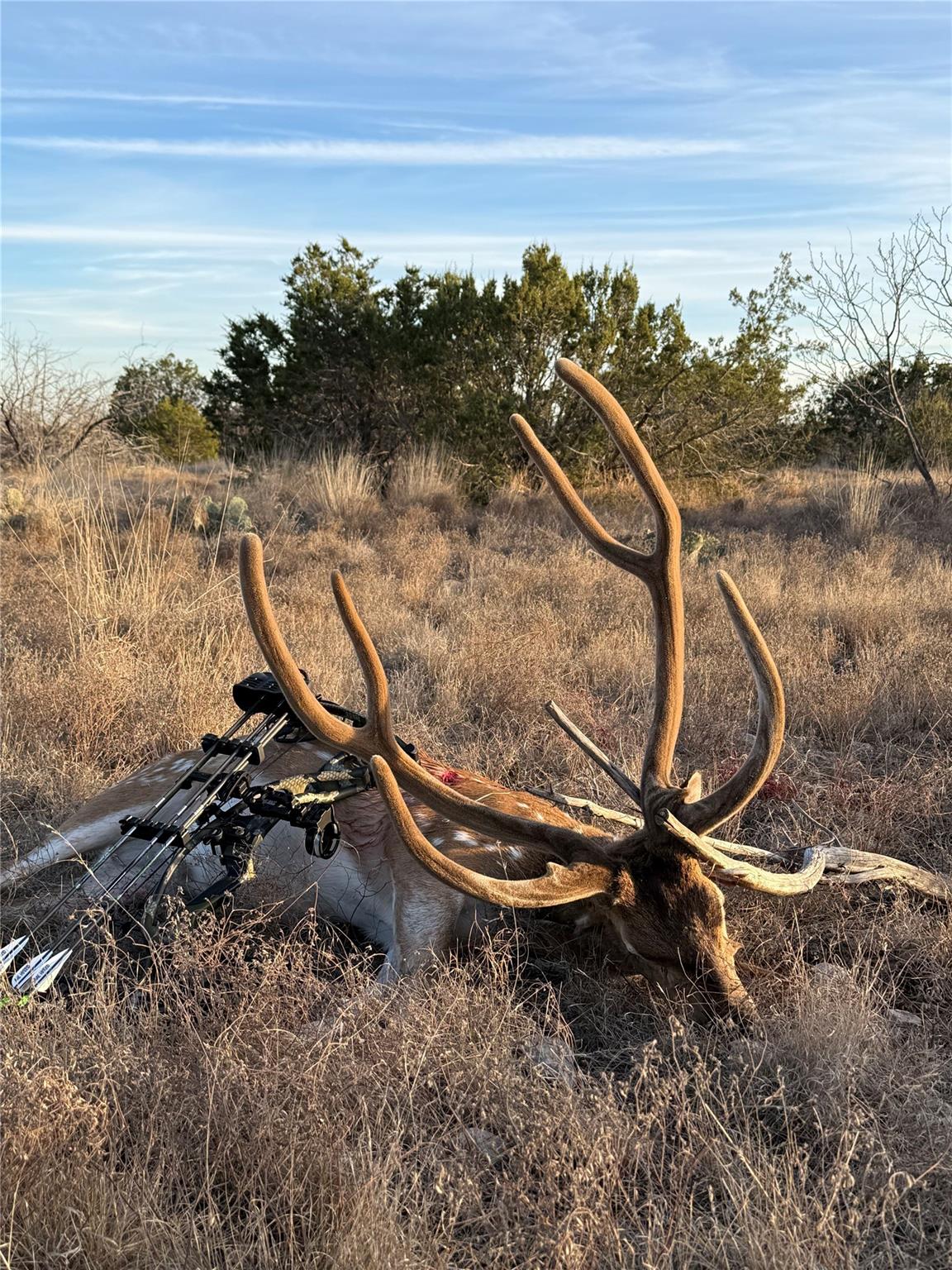 0 Sutton County Rd 406 Rd, Sonora, TX 76950 — photo 1