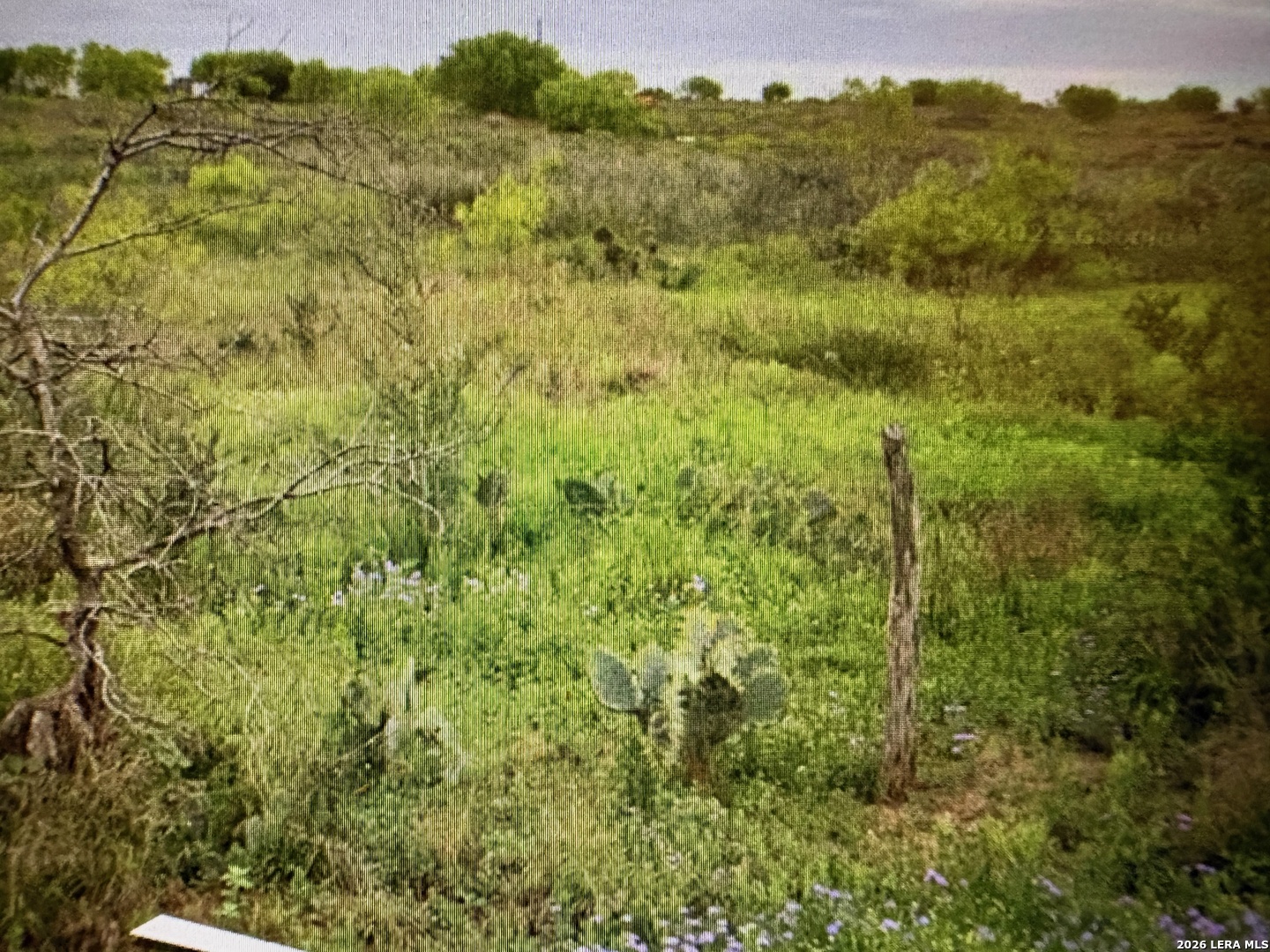 1849/1909 Strawberry City, Poteet, TX 78065 — photo 1