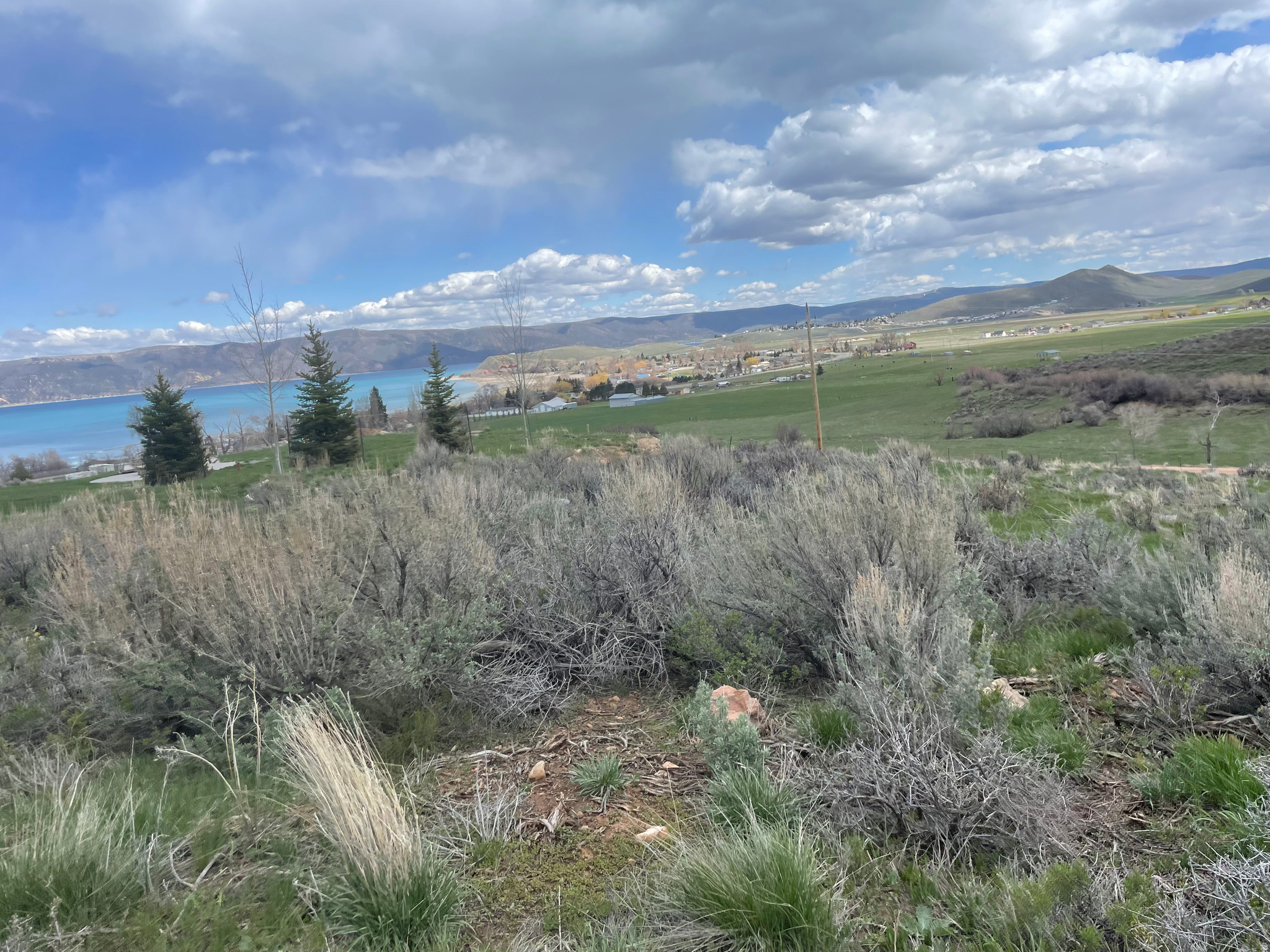 244 W LYCHEE LN, Garden City, UT 84028 — photo 1