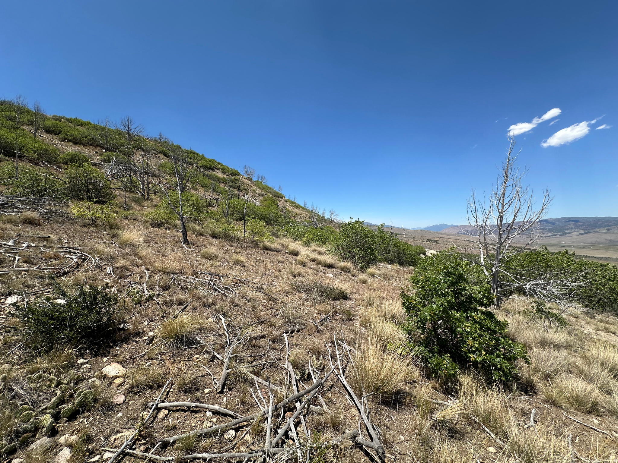 17 C THUNDERCLOUD CIR, Indianola, UT 84629 — photo 1