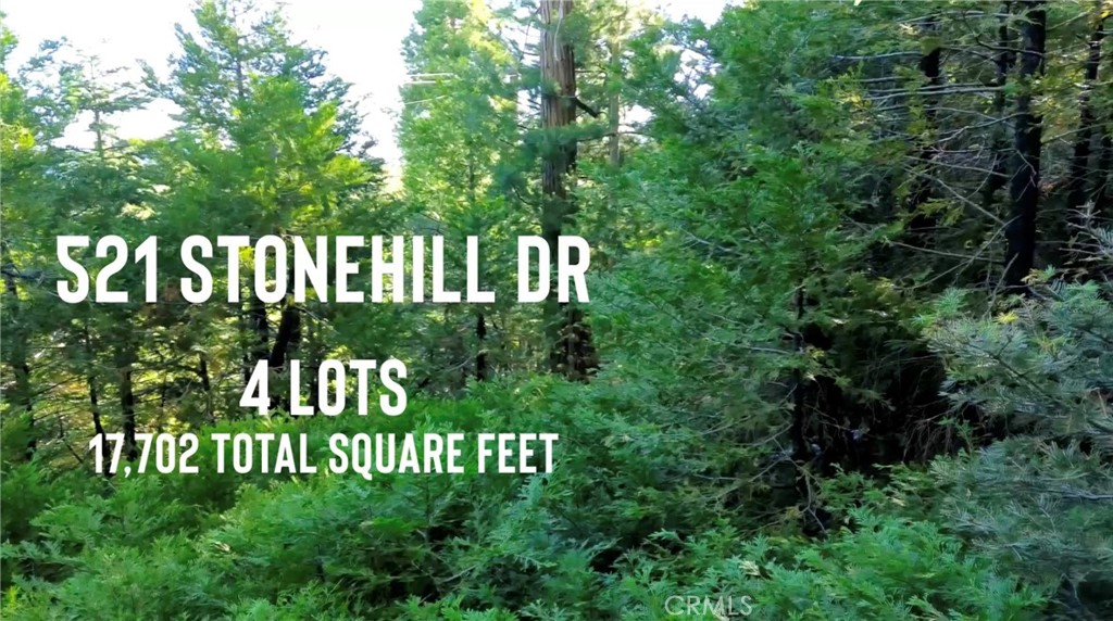 521 Stone Hill