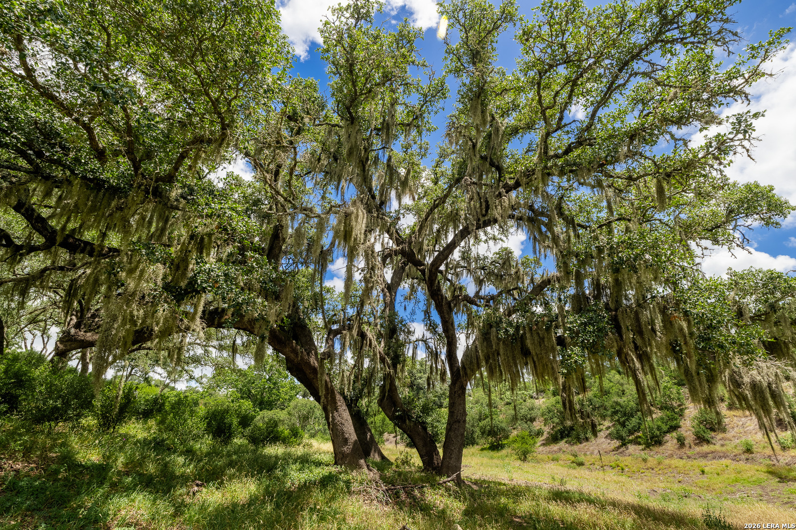 0007 Hidden Springs Ranch, Spring Branch, TX 78070 — photo 1