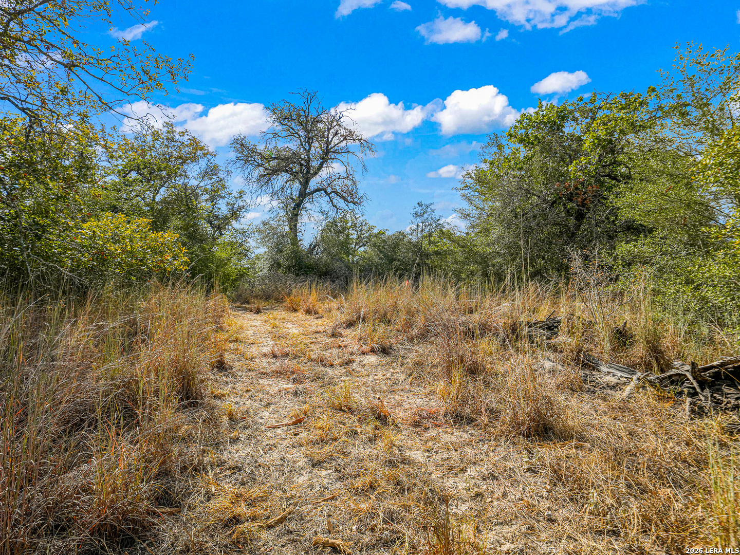 12180 FM 1117, ,  78155 — photo 1