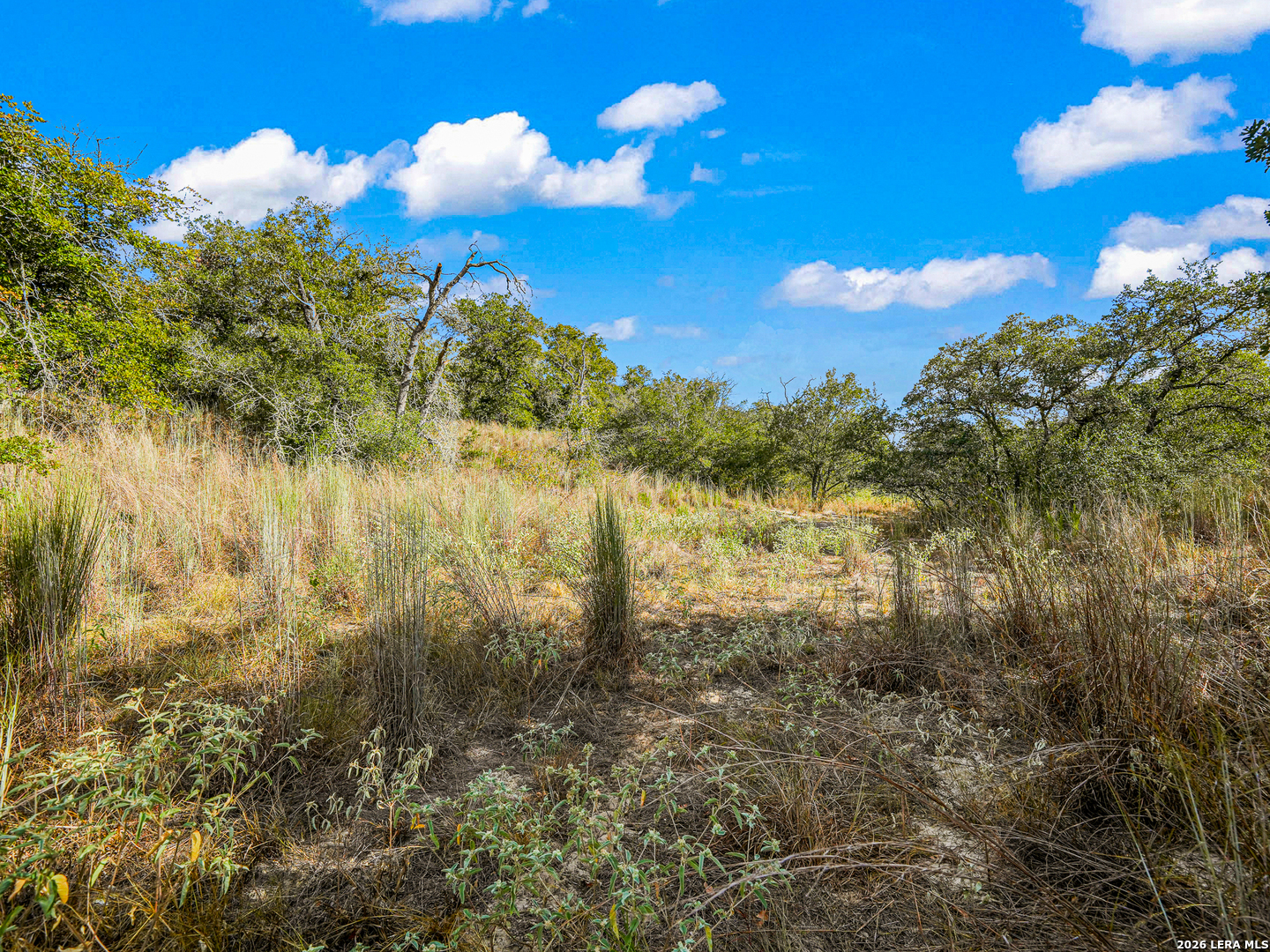 12180 FM 1117, Seguin, TX 78155 — photo 1