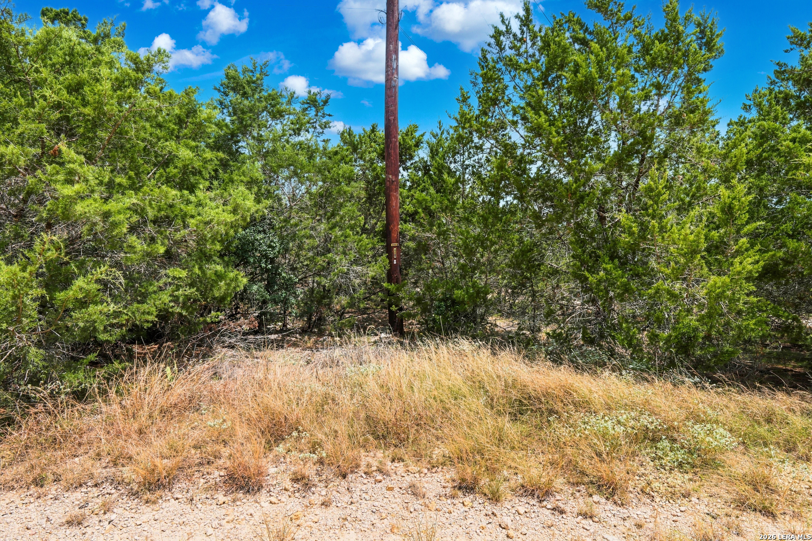 TBD REBECCA CREEK PARK THIRD FILING LOT 8, , 78070 — photo 1