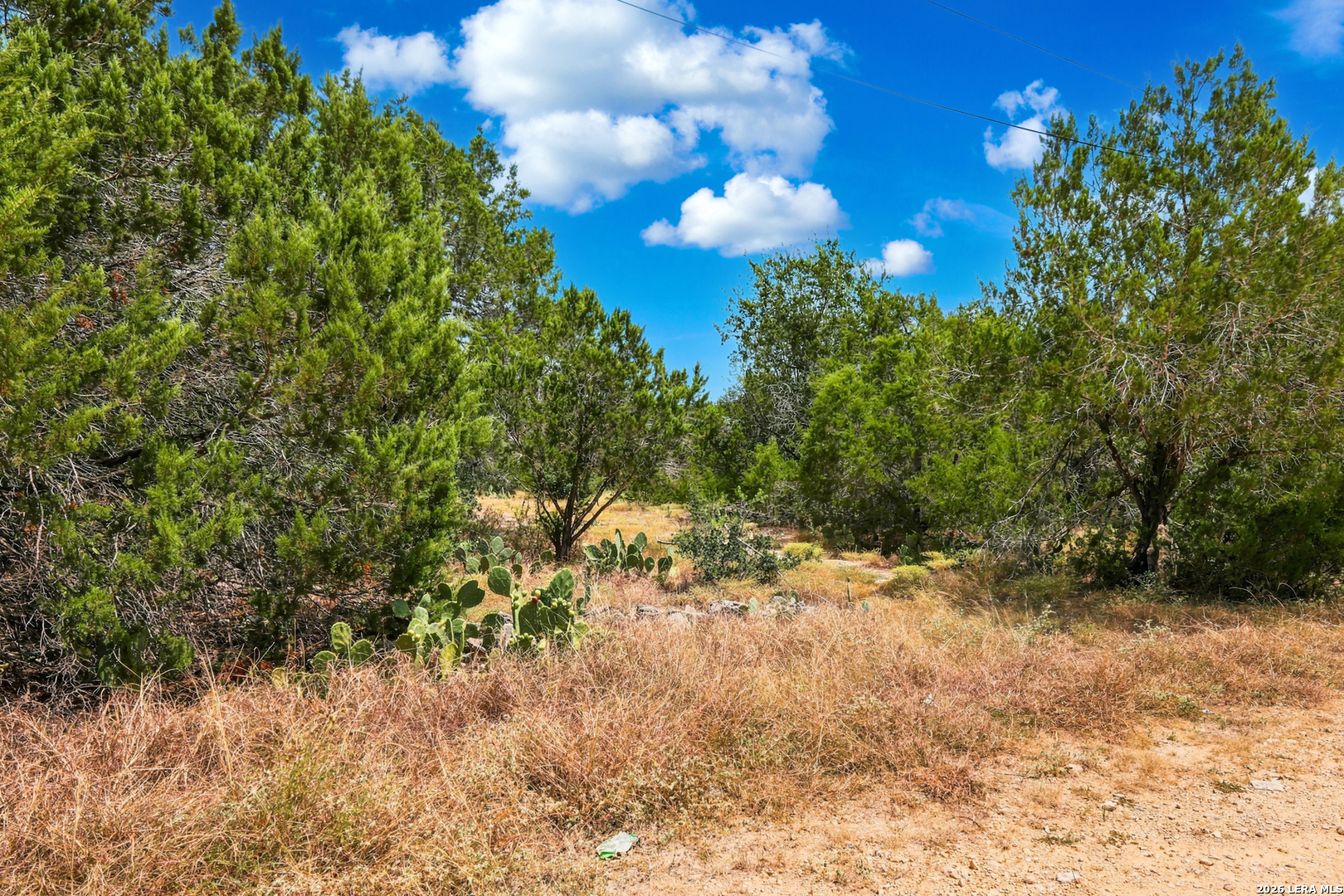 136 Angus Trl, ,  78070 — photo 1
