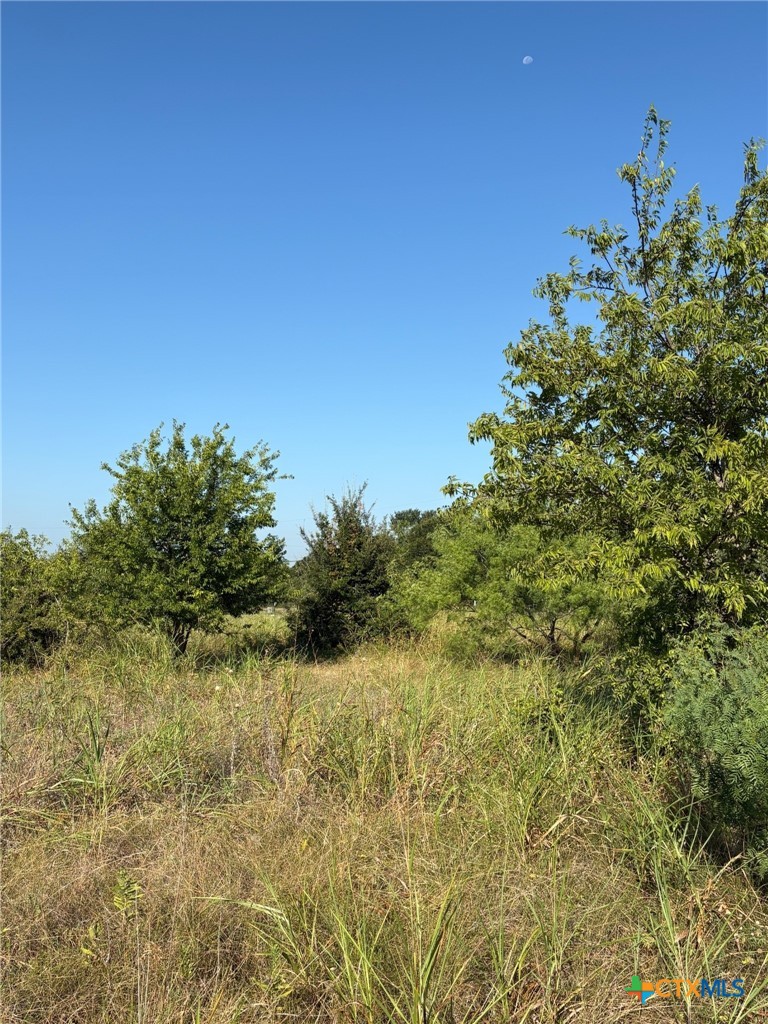 TBD Lamotte