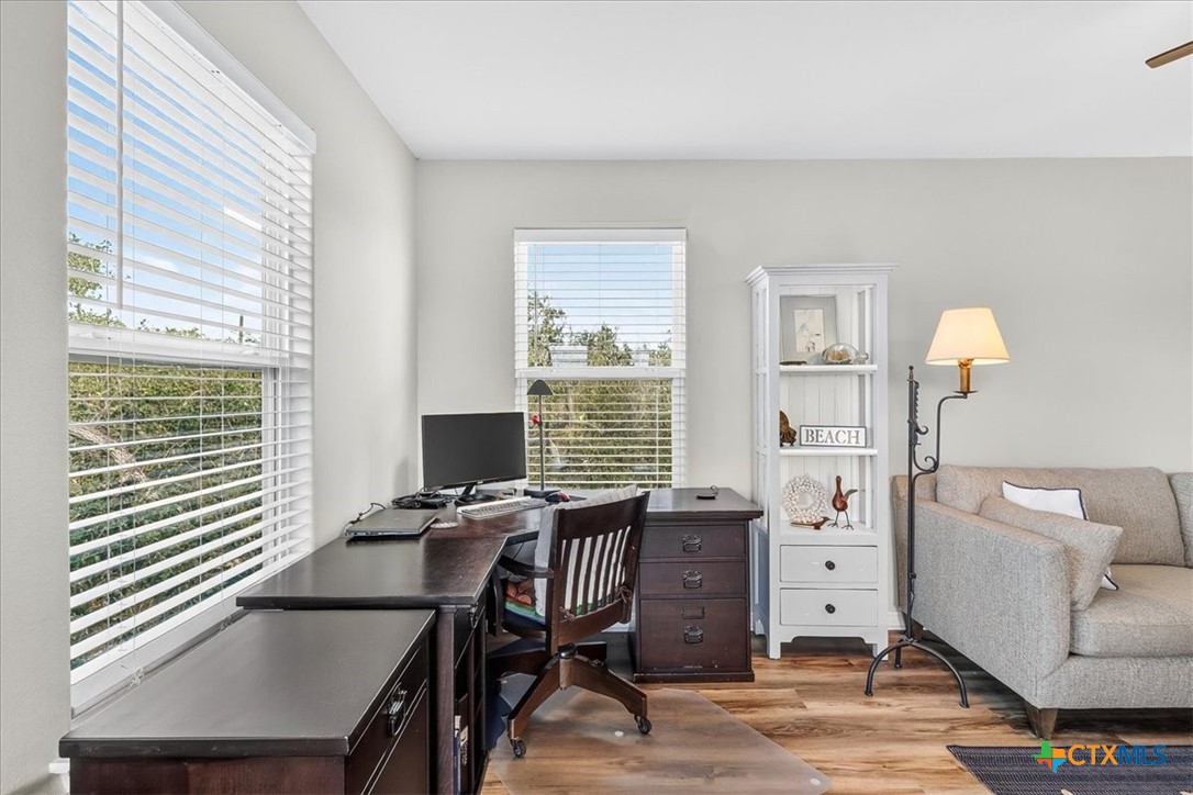 578 Mesquite Tree Loop