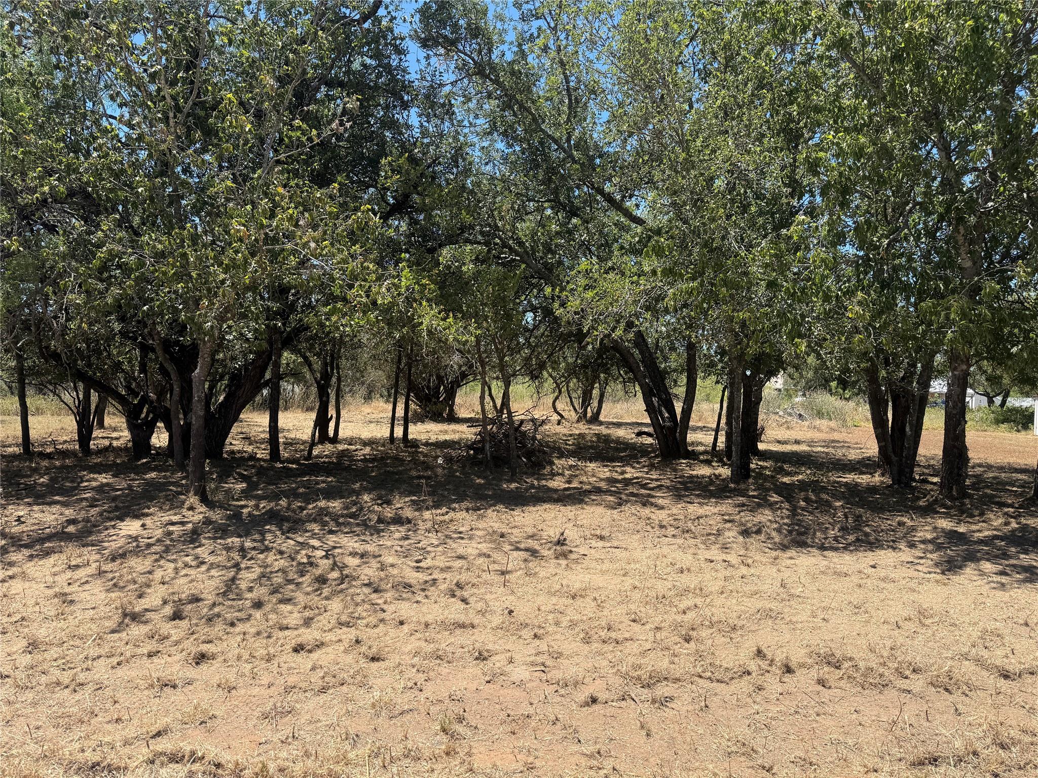 Lot #494 Driftwood