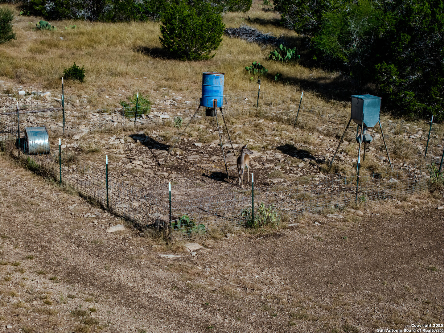 510 Pr 2535, Mico, TX 78056 — photo 1