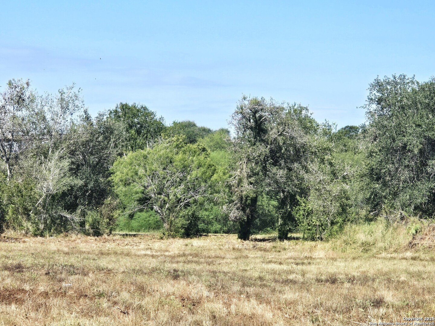 TBD W Randall, Beeville, 78102 — photo 1