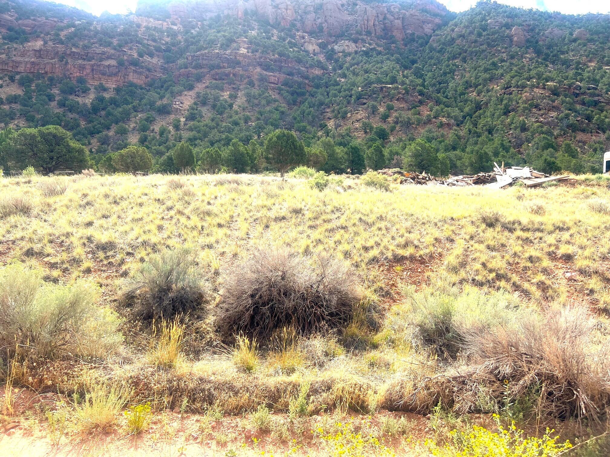 1994 N Foothill DR, Paragonah, UT 84760