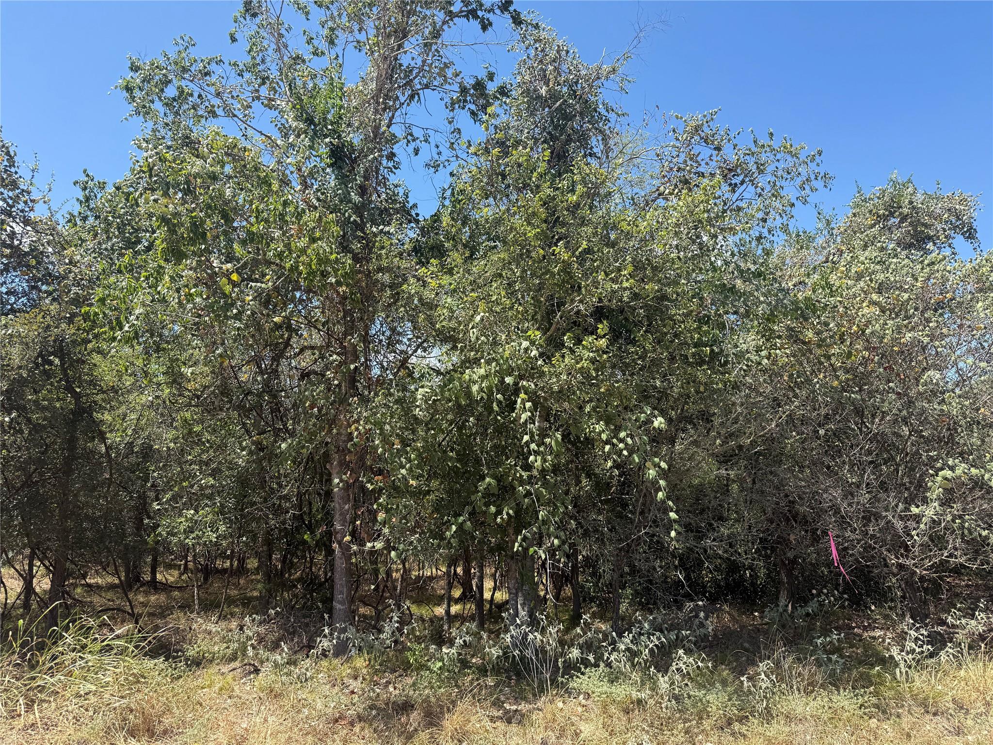 TBD  Kawainui Ln, Bastrop, TX 78602 — photo 1