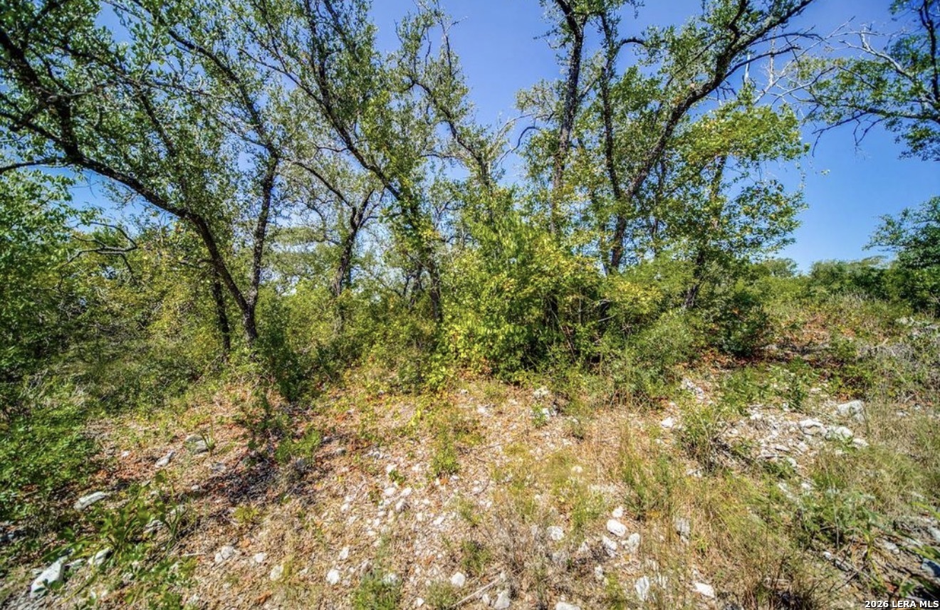 10026 IVORY CYN, San Antonio, TX 78255 — photo 1