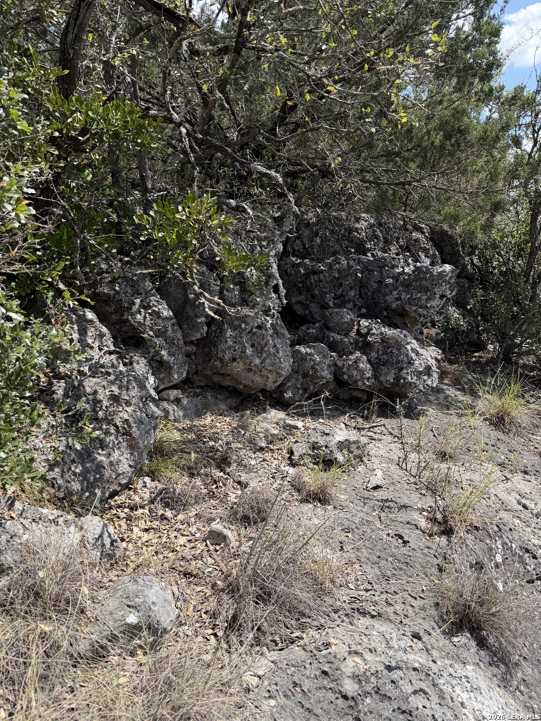267 Sd 46066, Rocksprings, TX 78880 — photo 1