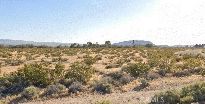 0 Telstar Court, Yermo, CA 92398 — photo 1