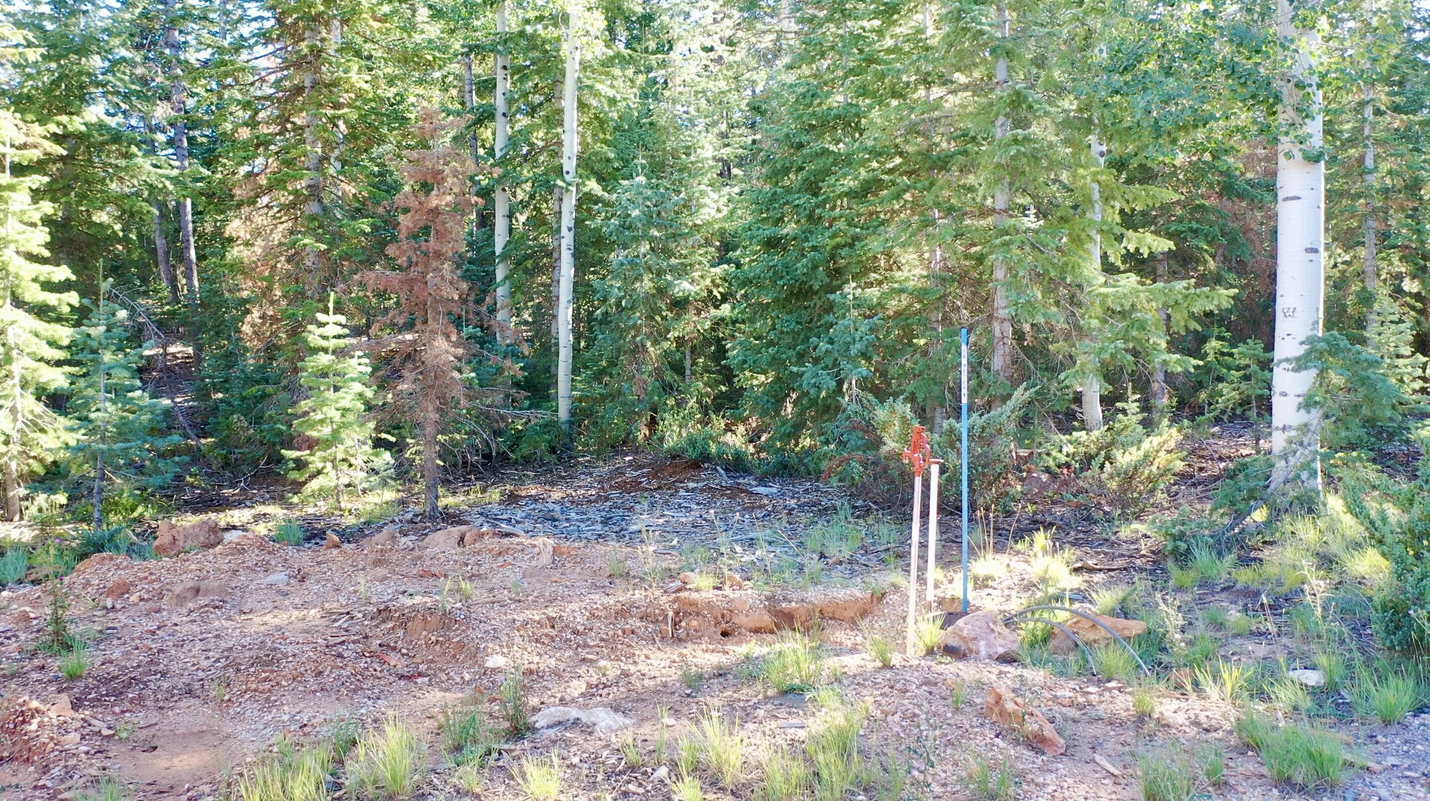Lot 1 Koti Subdivision, Duck Creek Village, UT 84762 — photo 1