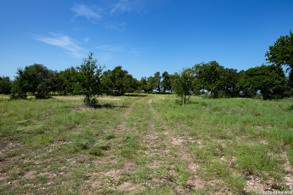 TBD CRABAPPLE RD, ,  78027 — photo 1