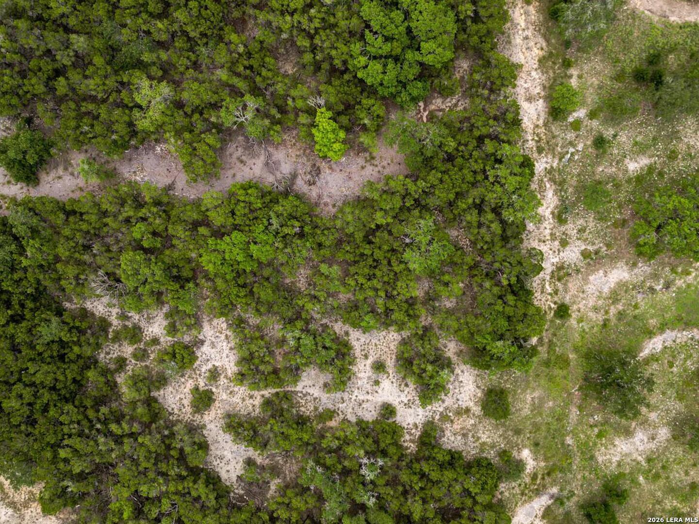 22406 WHITE DOE PASS, , 78255 — photo 1
