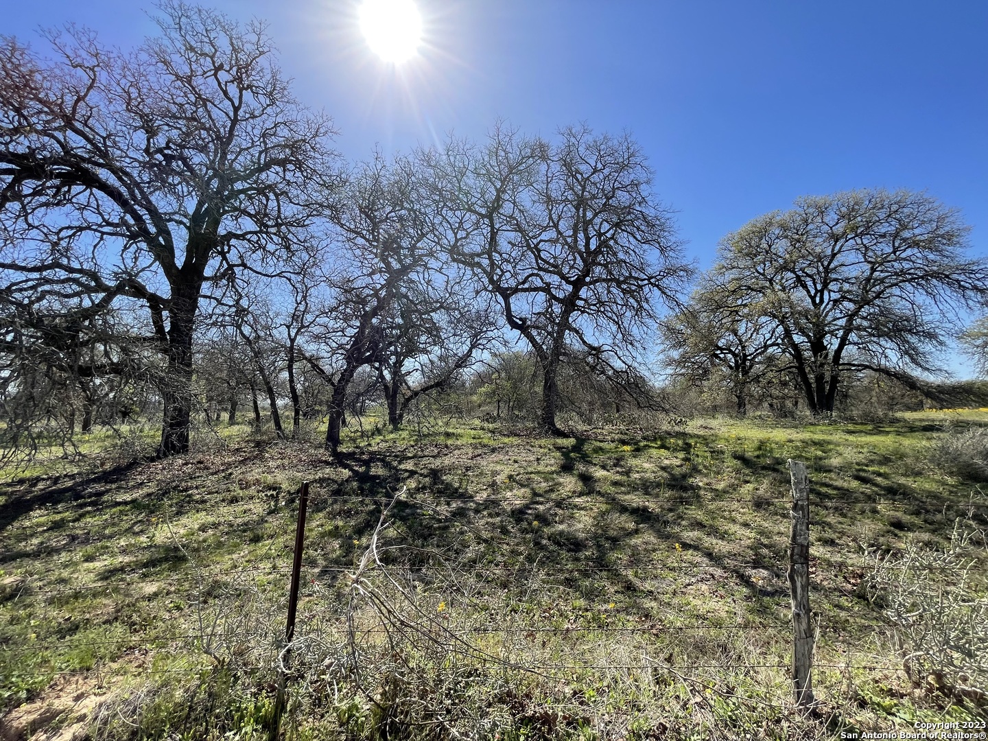 8765 US Highway 87 W