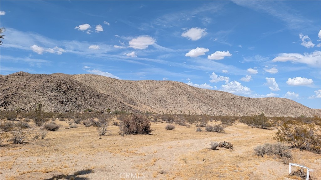 5940 Antelope, Joshua Tree, CA 92252 — photo 1