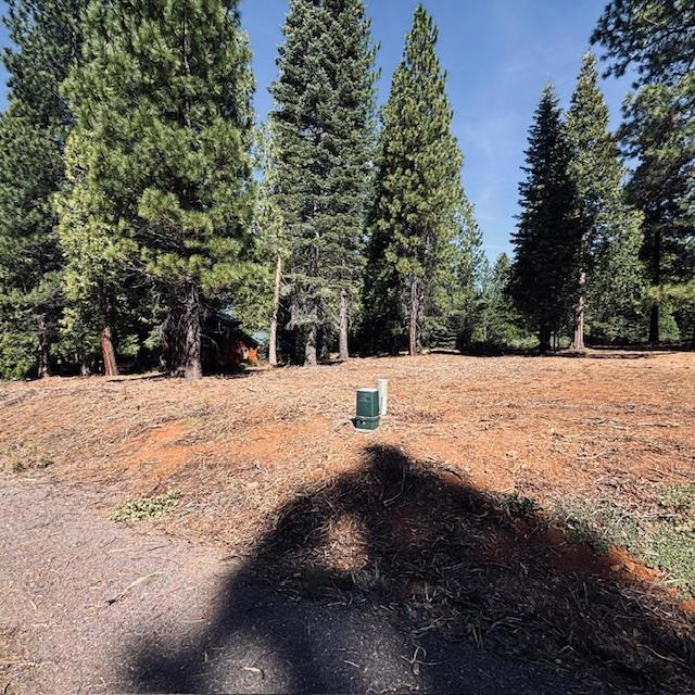 758 Red River Drive, Lake Almanor, CA 96137 — photo 1