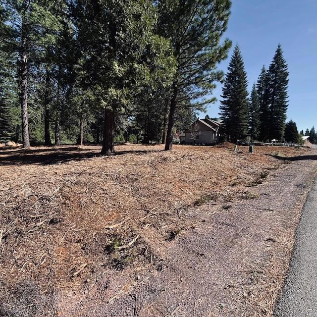 742 Red River Drive, Lake Almanor, CA 96137 — photo 1