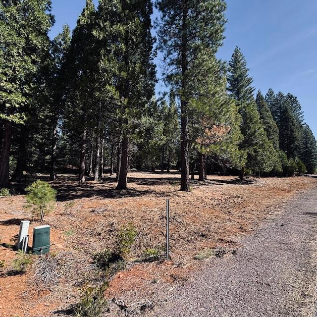 806 Red River Drive, Lake Almanor, CA 96137 — photo 1