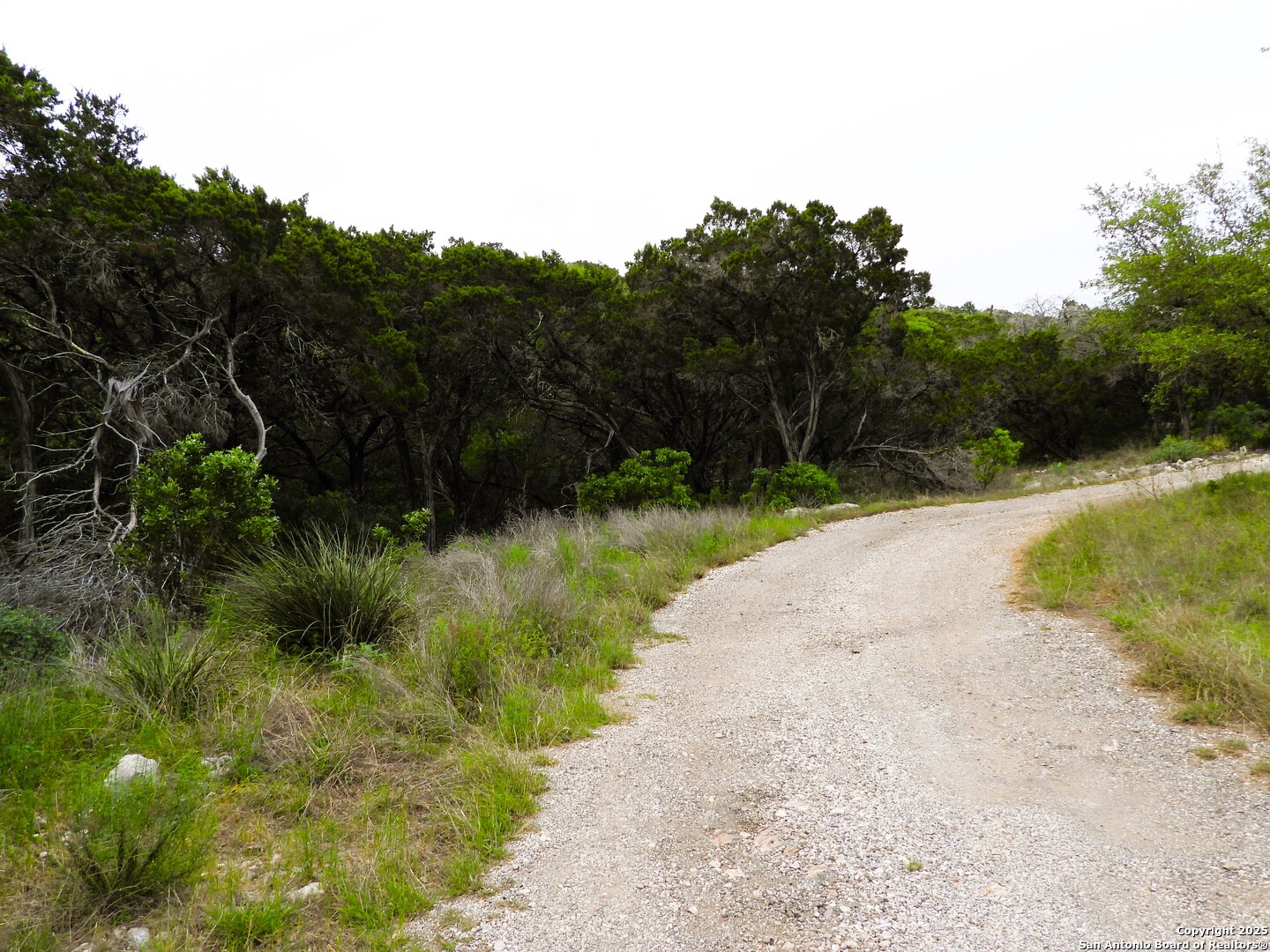 TBD Mountain Drive, , 78063 — photo 1