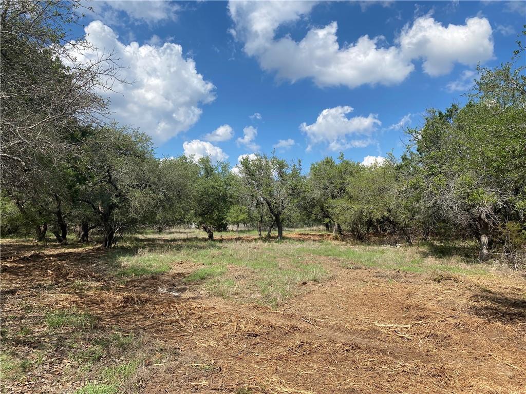 33400 Brooks Ranch, Austin, TX 78620 — photo 1