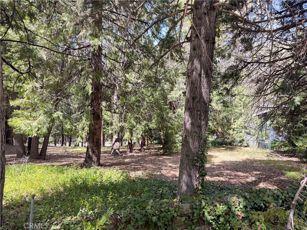 0 Cumberland, Lake Arrowhead, CA 92352 — photo 1