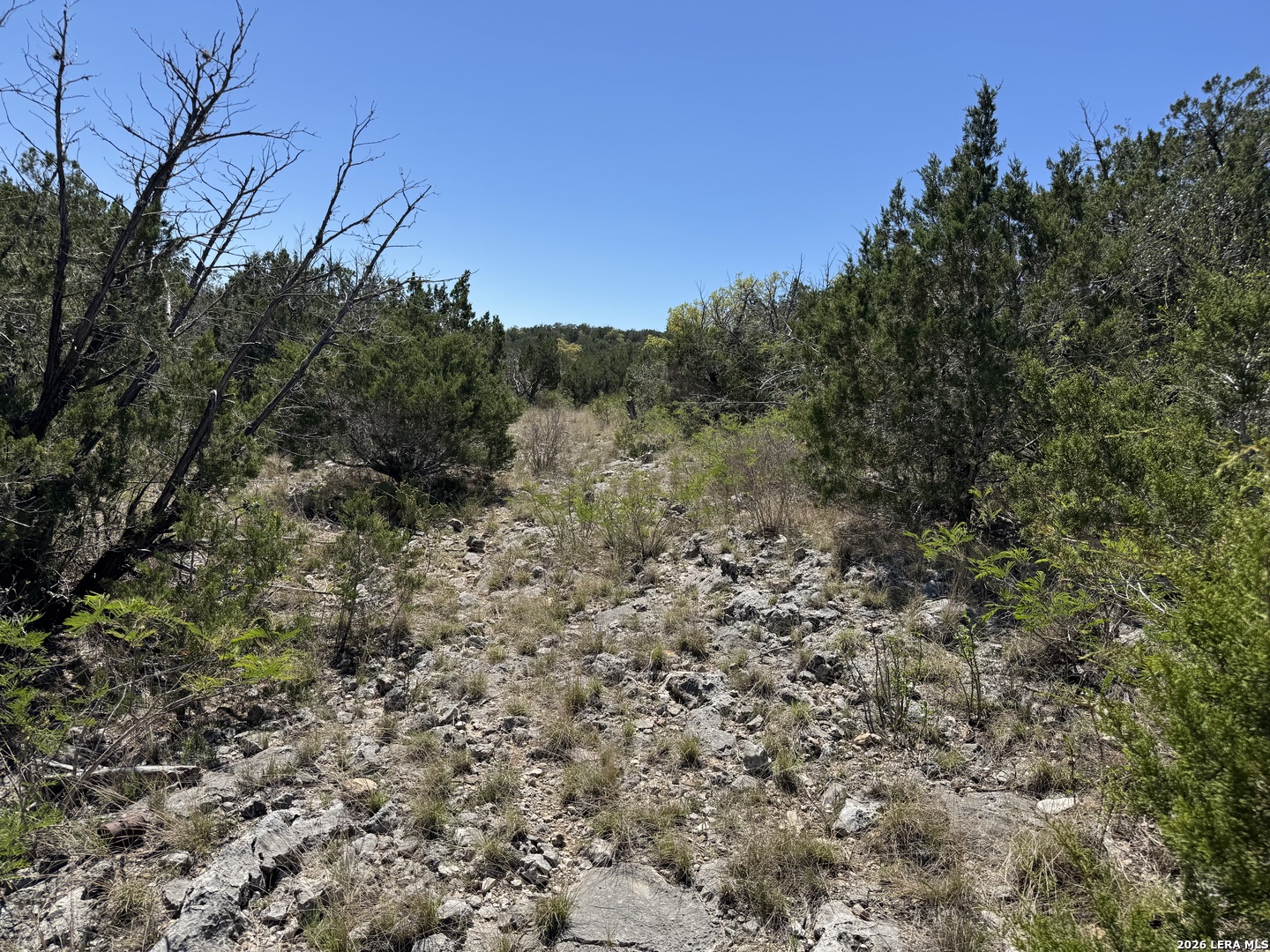 2325 Private Road 2700, ,  78801 — photo 1