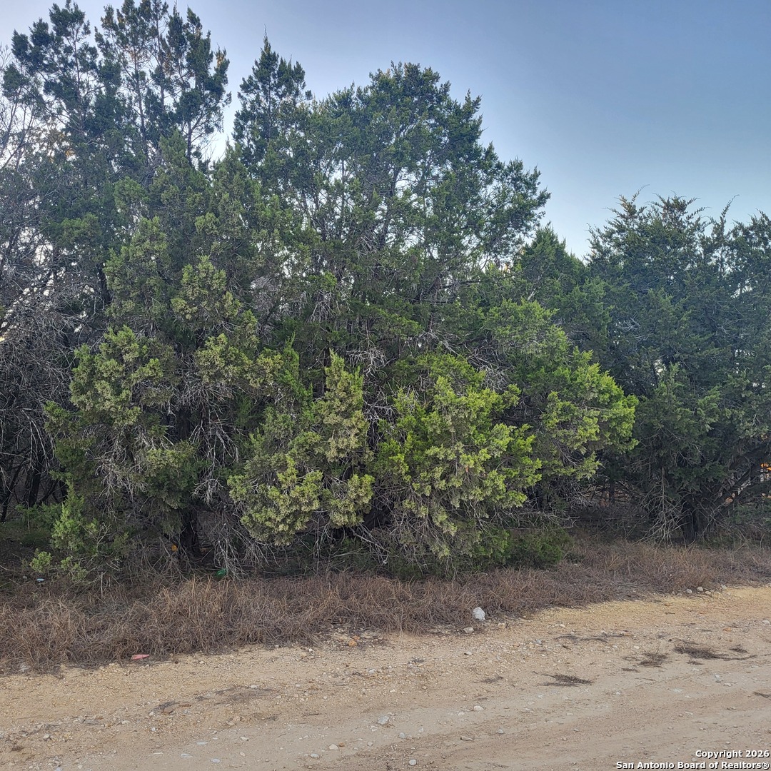 0 Tbd (Oak Ridge - lot 22), , 78070 — photo 1