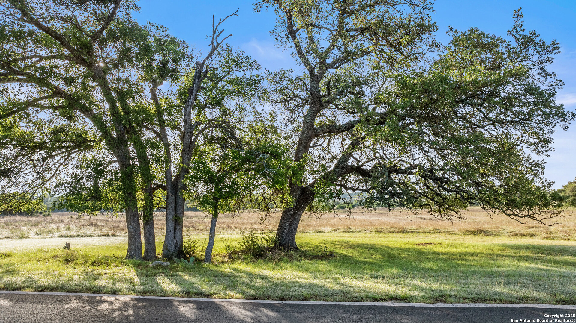 LOT 4 Vista Ridge, ,  78663 — photo 1